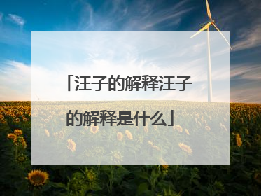 汪子的解释汪子的解释是什么