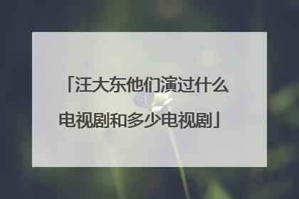 汪大东他们演过什么电视剧和多少电视剧