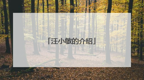 汪小敏的介绍