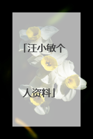 汪小敏个人资料