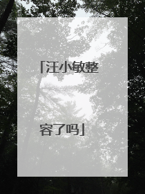 汪小敏整容了吗