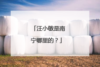 汪小敏是南宁哪里的？