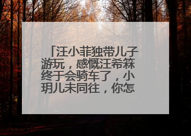 汪小菲独带儿子游玩,感慨汪希箖终于会骑车了,小玥儿未同往,你怎么看呢?