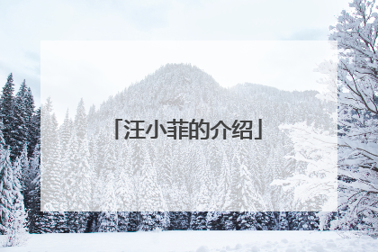 汪小菲的介绍