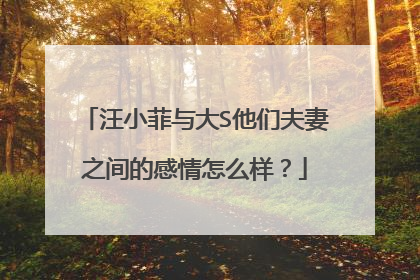 汪小菲与大S他们夫妻之间的感情怎么样?