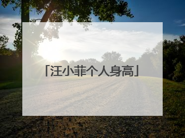 汪小菲个人身高