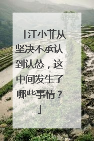 汪小菲从坚决不承认到认怂,这中间发生了哪些事情?