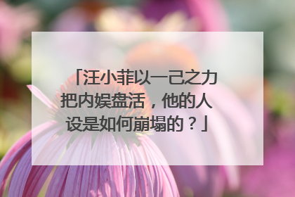 汪小菲以一己之力把内娱盘活,他的人设是如何崩塌的?