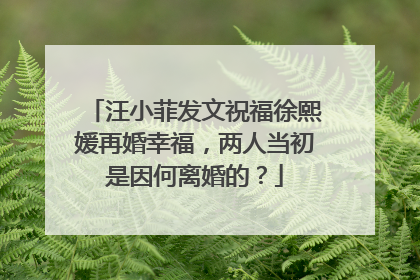 汪小菲发文祝福徐熙媛再婚幸福,两人当初是因何离婚的?