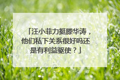 汪小菲力挺滕华涛,他们私下关系很好吗还是有利益驱使?