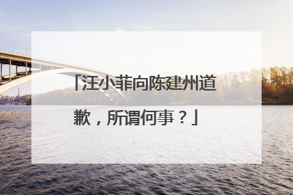汪小菲向陈建州道歉，所谓何事？