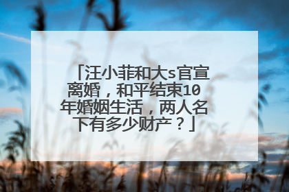 汪小菲和大s官宣离婚,和平结束10年婚姻生活,两人名下有多少财产?