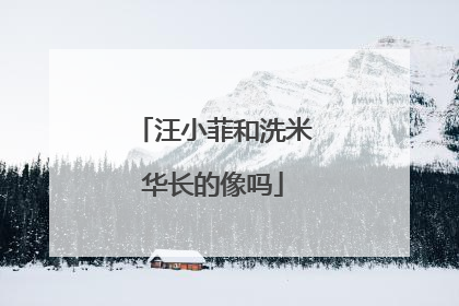 汪小菲和洗米华长的像吗