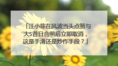 汪小菲在风波当头点赞与大S昔日合照后立即取消,这是手滑还是炒作手段?