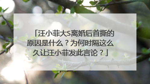 汪小菲大S离婚后首撕的原因是什么?为何时隔这么久让汪小菲发此言论?