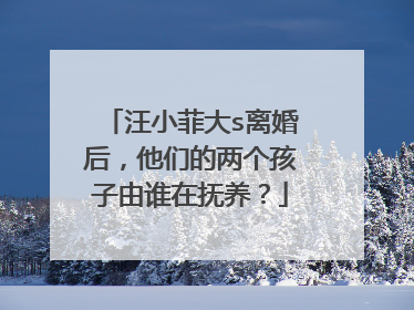 汪小菲大s离婚后,他们的两个孩子由谁在抚养?
