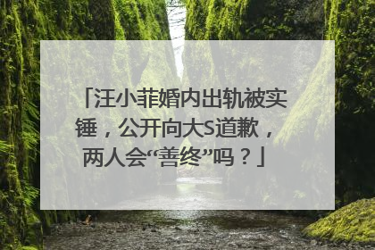 汪小菲婚内出轨被实锤,公开向大S道歉,两人会“善终”吗?