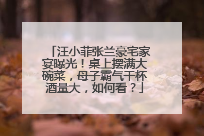 汪小菲张兰豪宅家宴曝光！桌上摆满大碗菜，母子霸气干杯酒量大，如何看？