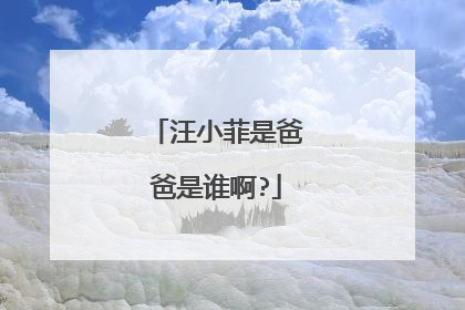 汪小菲是爸爸是谁啊?