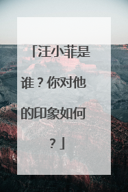 汪小菲是谁?你对他的印象如何?