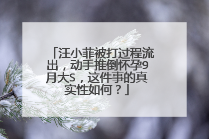 汪小菲被打过程流出，动手推倒怀孕9月大S，这件事的真实性如何？