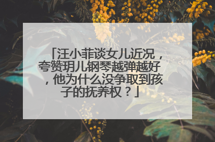 汪小菲谈女儿近况，夸赞玥儿钢琴越弹越好，他为什么没争取到孩子的抚养权？