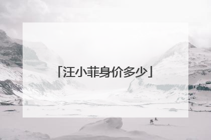 汪小菲身价多少