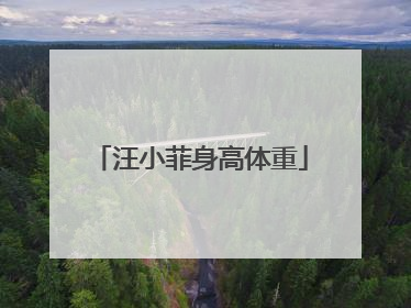 汪小菲身高体重