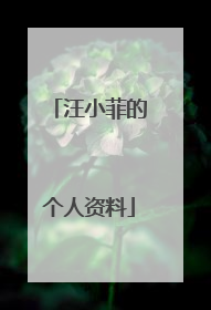 汪小菲的个人资料