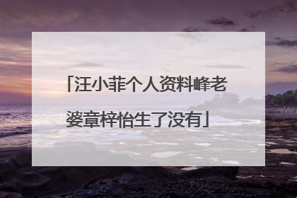 汪小菲个人资料峰老婆章梓怡生了没有