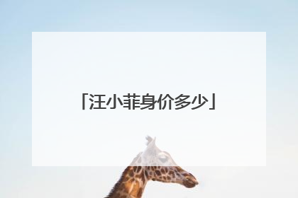 汪小菲身价多少