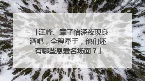 汪峰、章子怡深夜现身酒吧，全程牵手，他们还有哪些恩爱名场面？