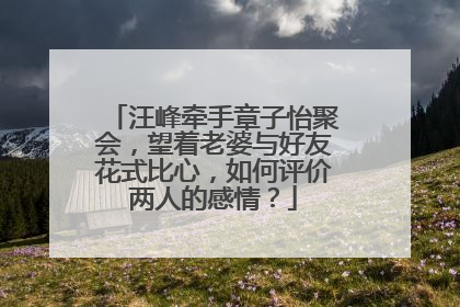 汪峰牵手章子怡聚会,望着老婆与好友花式比心,如何评价两人的感情?