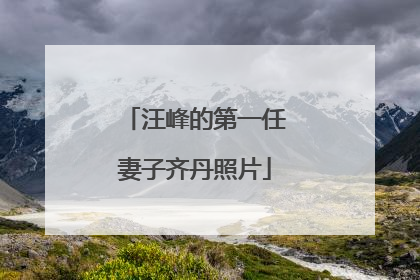 汪峰的第一任妻子齐丹照片