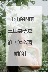汪峰的前三任妻子是谁？怎么离婚的