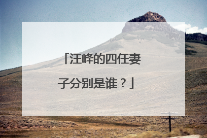 汪峰的四任妻子分别是谁？