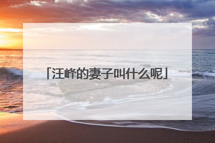 汪峰的妻子叫什么呢