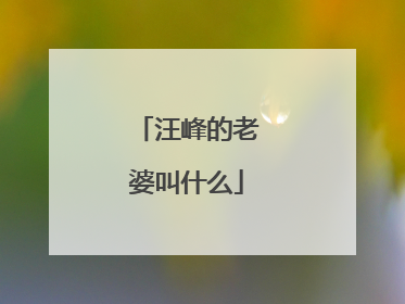 汪峰的老婆叫什么