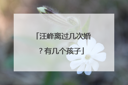 汪峰离过几次婚？有几个孩子