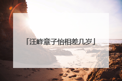 汪峰章子怡相差几岁