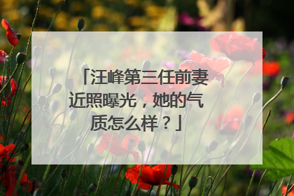 汪峰第三任前妻近照曝光，她的气质怎么样？