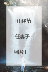 汪峰第二任妻子照片