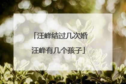 汪峰结过几次婚 汪峰有几个孩子