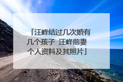 汪峰结过几次婚有几个孩子 汪峰前妻个人资料及其照片