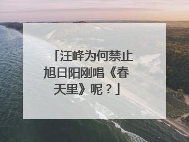 汪峰为何禁止旭日阳刚唱《春天里》呢？