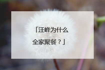 汪峰为什么全家聚餐？