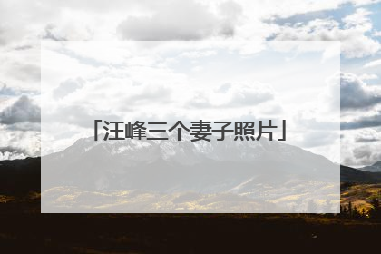 汪峰三个妻子照片