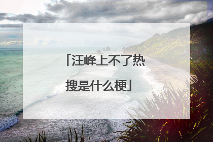 汪峰上不了热搜是什么梗