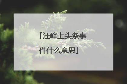 汪峰上头条事件什么意思