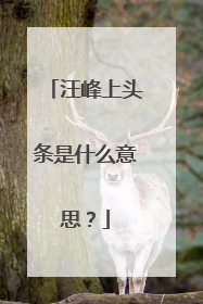 汪峰上头条是什么意思？